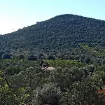 Casa Flamenga Bed & Breakfast 4*