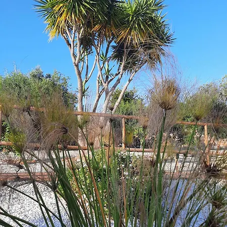 Bed & Breakfast Casa Flamenga 4*