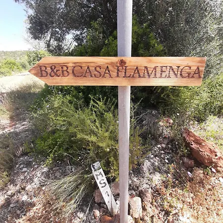 Casa Flamenga Альте