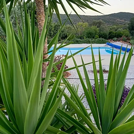 Casa Flamenga 4* Альте
