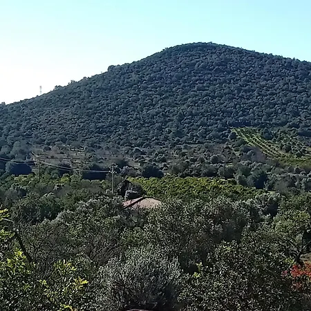Casa Flamenga Bed and breakfast 4*